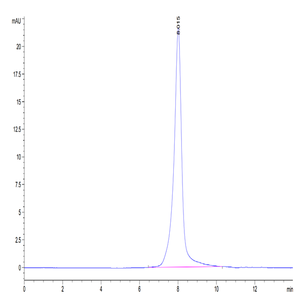 Biotinylated Human Her3/ErbB3 Protein (HER-HM403B)
