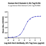 Human Her2/ErbB2 Domain 4 Protein (HER-HM404)