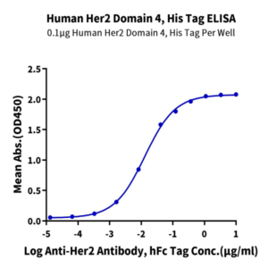 Human Her2/ErbB2 Domain 4 Protein (HER-HM404)