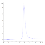 Human Her2/ErbB2 Domain 4 Protein (HER-HM404)