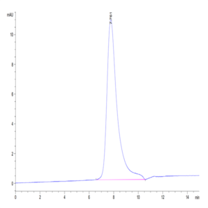 Human Her2/ErbB2 Domain 4 Protein (HER-HM404)