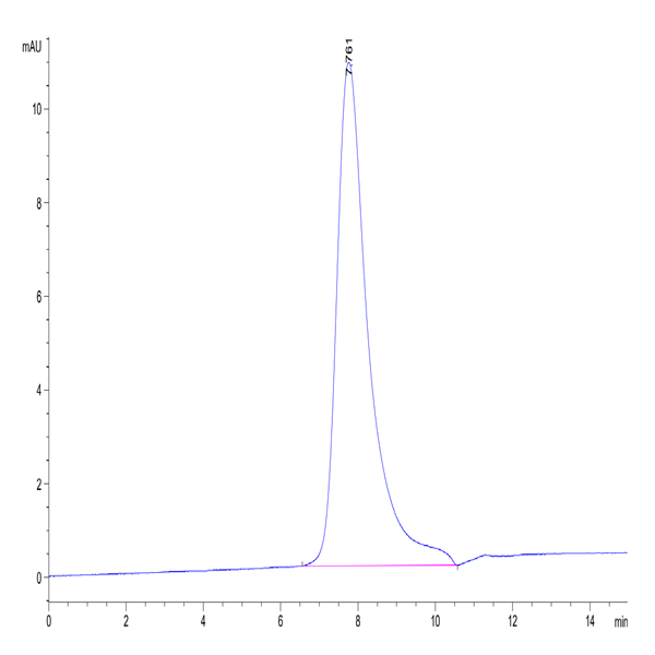 Human Her2/ErbB2 Domain 4 Protein (HER-HM404)