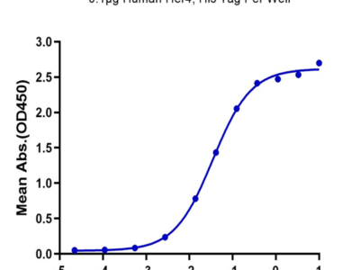 Human Her4/ErbB4 Protein (HER-HM4B4)