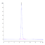 Human Her4/ErbB4 Protein (HER-HM4B4)