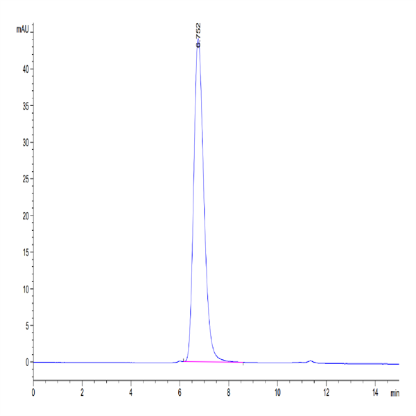 Human Her4/ErbB4 Protein (HER-HM4B4)