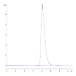 Biotinylated Human Her2/ErbB2 Domain 4 Protein (HER-HM404B)