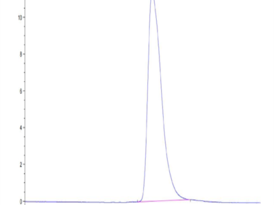 Biotinylated Human Her2/ErbB2 Domain 4 Protein (HER-HM404B)