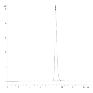 Mouse Her3/ErbB3 Protein (HER-MM103)
