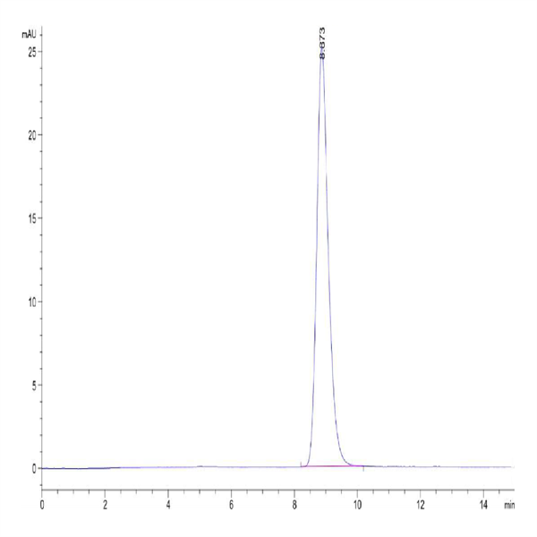 Mouse Her3/ErbB3 Protein (HER-MM103)