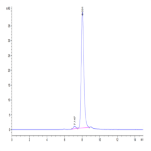 Cynomolgus HGFA Protein (pro form) (HGF-CM10A)