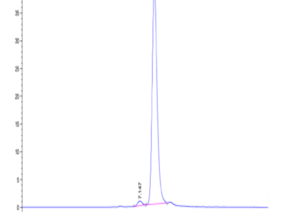 Cynomolgus HGFA Protein (pro form) (HGF-CM10A)