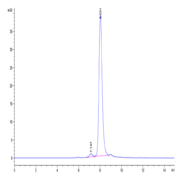 Cynomolgus HGFA Protein (pro form) (HGF-CM10A)