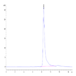 Human HGF Protein (HGF-HM101)