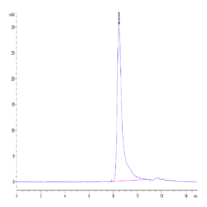 Human HGF Protein (HGF-HM101)