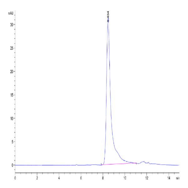 Human HGF Protein (HGF-HM101)