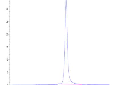 Human HGFA Protein (pro form) (HGF-HM10A)