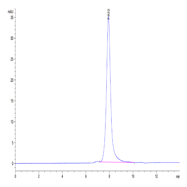 Human HGFA Protein (pro form) (HGF-HM10A) Human HGFA Protein (pro form) (HGF-HM10A)