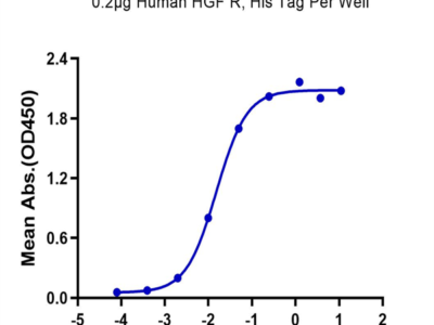 Human HGF Protein (HGF-HM201)
