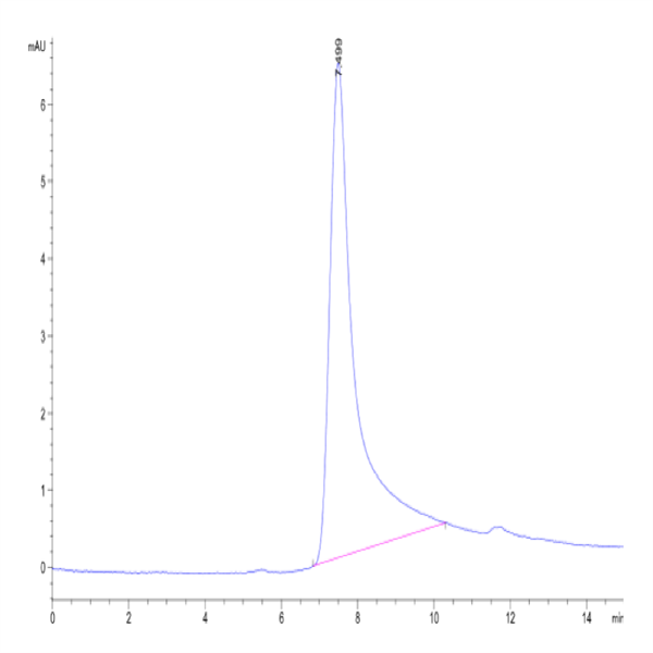 Human HGF Protein (HGF-HM201)