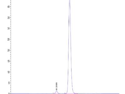 Mouse HGFA Protein (pro form) (HGF-MM10A)