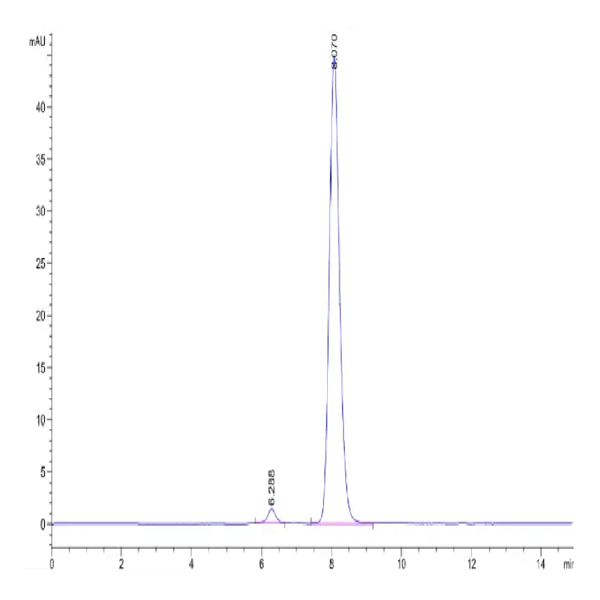 Mouse HGFA Protein (pro form) (HGF-MM10A) Mouse HGFA Protein (pro form) (HGF-MM10A)