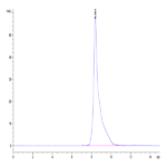 Cynomolgus HLA-G&B2M&Peptide (RIIPRHLQL) Monomer Protein (HLG-CM41C)