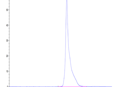 Cynomolgus HLA-G&B2M&Peptide (RIIPRHLQL) Monomer Protein (HLG-CM41C)