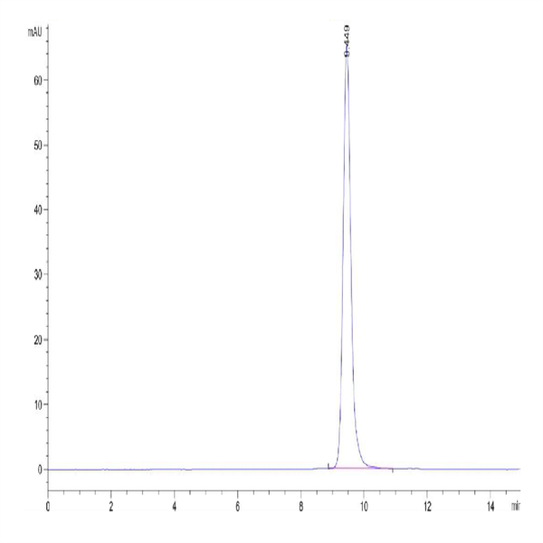 Biotinylated Cynomolgus HLA-G&B2M&Peptide (RIIPRHLQL) Monomer Protein (HLG-CM41CB)