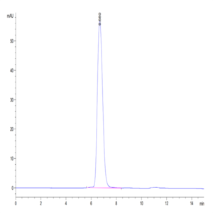 Cynomolgus HLA-G&B2M&Peptide (RIIPRHLQL) Tetramer Protein (HLG-CM41CT)