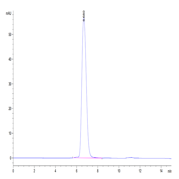 Cynomolgus HLA-G&B2M&Peptide (RIIPRHLQL) Tetramer Protein (HLG-CM41CT)