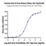 Human HLA-G Free Heavy Chain Protein (HLG-HE41F)
