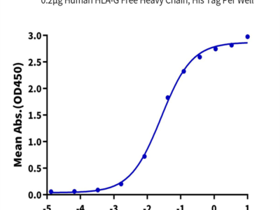 Human HLA-G Free Heavy Chain Protein (HLG-HE41F)