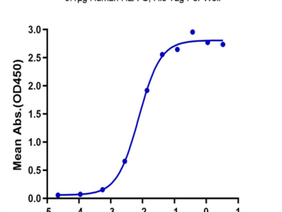 Human HLA-G&B2M&Peptide (RIIPRHLQL) Monomer Protein (HLG-HM41C)