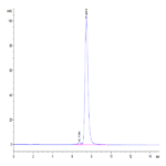 Human HLA-G&B2M&Peptide (RIIPRHLQL) Monomer Protein (HLG-HM41C)