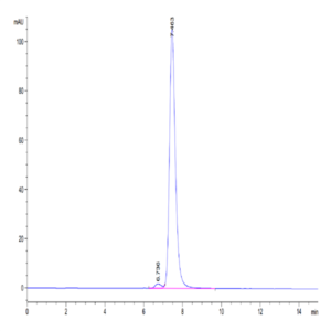 Human HLA-G&B2M&Peptide (RIIPRHLQL) Monomer Protein (HLG-HM41C)