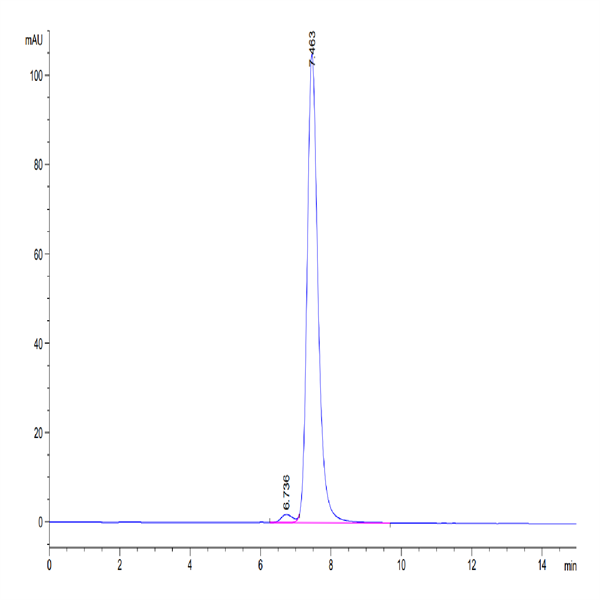 Human HLA-G&B2M&Peptide (RIIPRHLQL) Monomer Protein (HLG-HM41C)