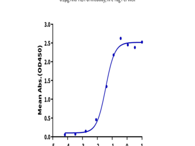 Biotinylated Human HLA-G&B2M&Peptide (RIIPRHLQL) Monomer Protein (HLG-HM41CB)