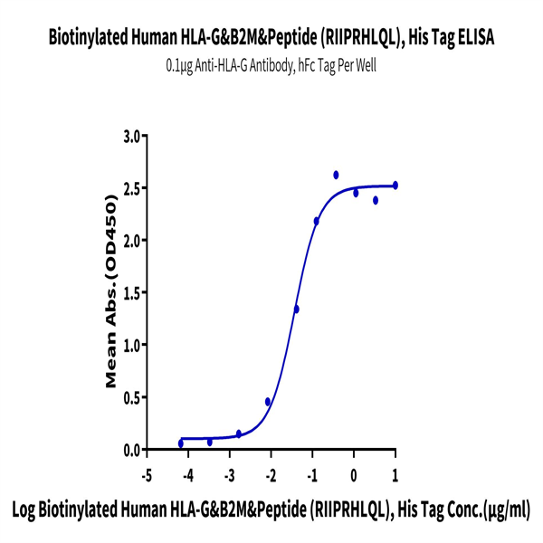 Biotinylated Human HLA-G&B2M&Peptide (RIIPRHLQL) Monomer Protein (HLG-HM41CB) Biotinylated Human HLA-G&B2M&Peptide (RIIPRHLQL) Monomer Protein (HLG-HM41CB)