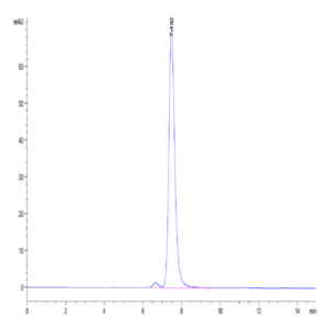Biotinylated Human HLA-G&B2M&Peptide (RIIPRHLQL) Monomer Protein (HLG-HM41CB)
