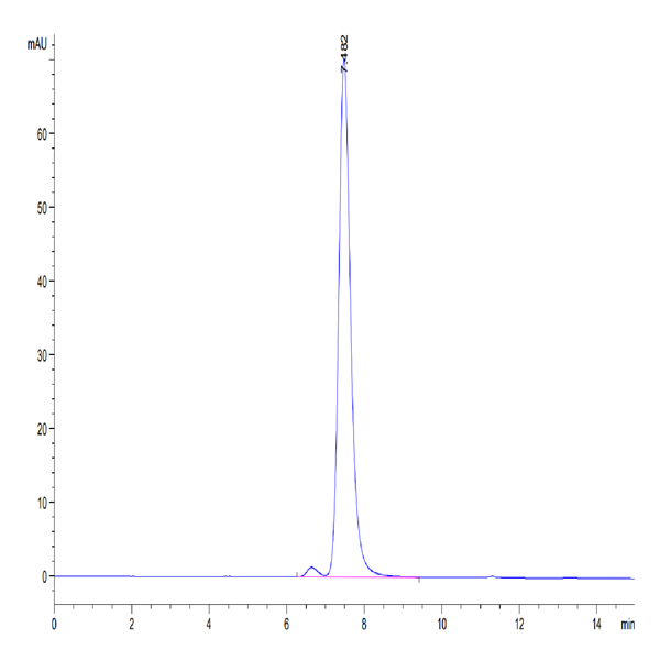 Biotinylated Human HLA-G&B2M&Peptide (RIIPRHLQL) Monomer Protein (HLG-HM41CB)