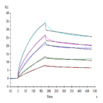 Human HLA-G&B2M&Peptide (RIIPRHLQL) Tetramer Protein (HLG-HM41CT)