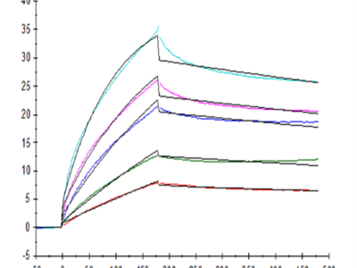 Human HLA-G&B2M&Peptide (RIIPRHLQL) Tetramer Protein (HLG-HM41CT)