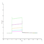 Human HLA-G&B2M&Peptide (RIIPRHLQL) Tetramer Protein (HLG-HM41CT)