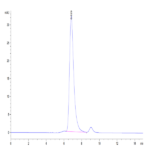 Human HLA-G&B2M&Peptide (RIIPRHLQL) Tetramer Protein (HLG-HM41CT)