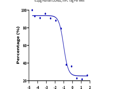 PE-Labeled Human HLA-G&B2M&Peptide (RIIPRHLQL) Tetramer Protein (HLG-HM41CTP)