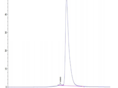 Rhesus macaque HLA-G&B2M&Peptide (RIIPRHLQL) Monomer Protein (HLG-RM41C)