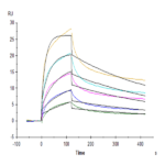 Rhesus macaque HLA-G&B2M&Peptide (RIIPRHLQL) Tetramer Protein (HLG-RM41CT)