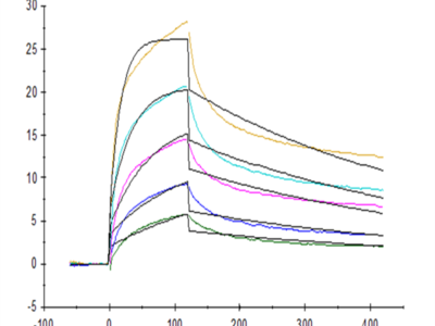 Rhesus macaque HLA-G&B2M&Peptide (RIIPRHLQL) Tetramer Protein (HLG-RM41CT)
