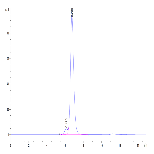 Rhesus macaque HLA-G&B2M&Peptide (RIIPRHLQL) Tetramer Protein (HLG-RM41CT)