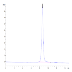 Human HMGB1 Protein (HMG-HM1B1)